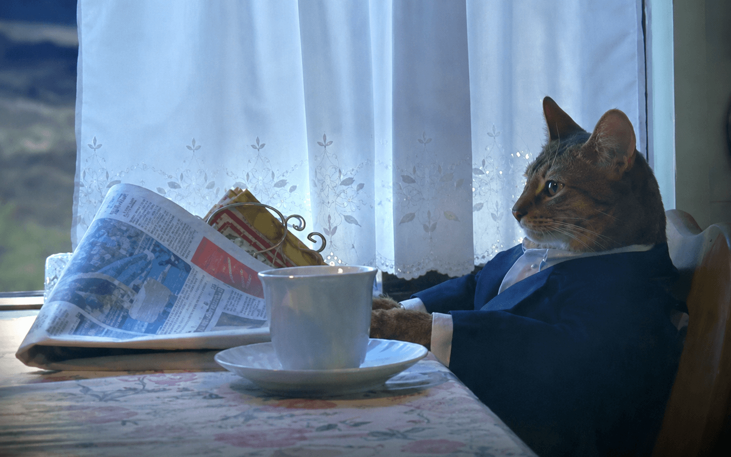 A sharply dressed cat sitting by a window with a newspaper and cup of tea